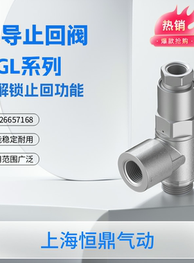 全新进口先导止回阀 HGL-M5-1/8-1/4-3/8-1/2-B 530033 530032