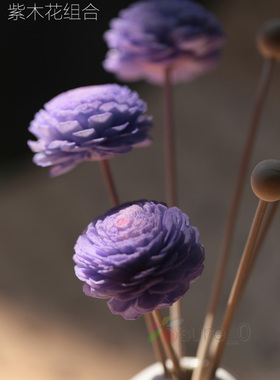 无火藤条扩香木棒香薰精油通草花挥发棒配件熏香室内香氛干花组合