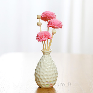 无火藤条香薰瓶摆件创意陶瓷火星瓶 通草花干花木花熏香 香薰扩香