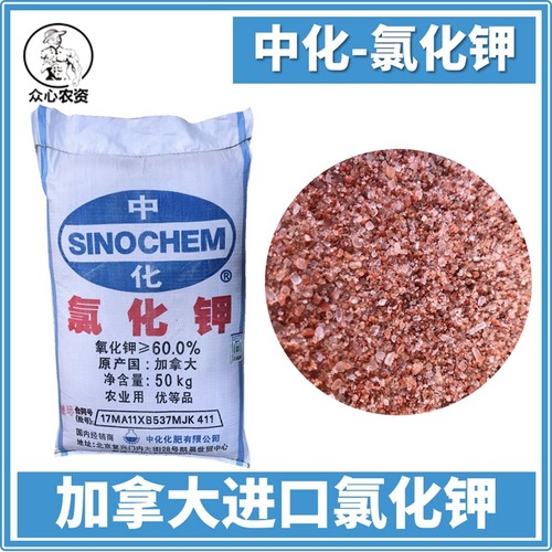 加拿大进口进口农业瓜豆氯化钾