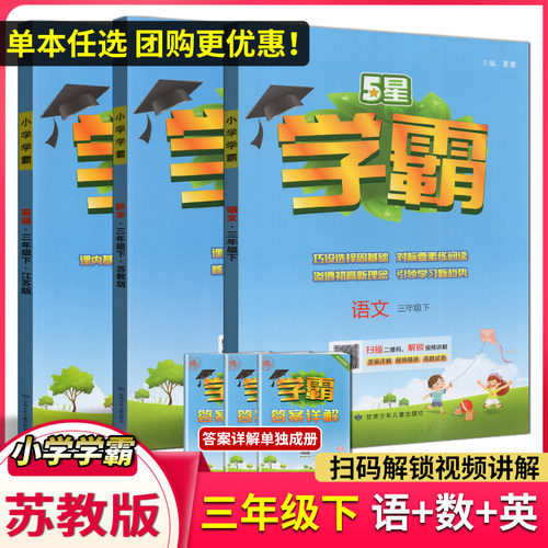学霸同步提优成就语文