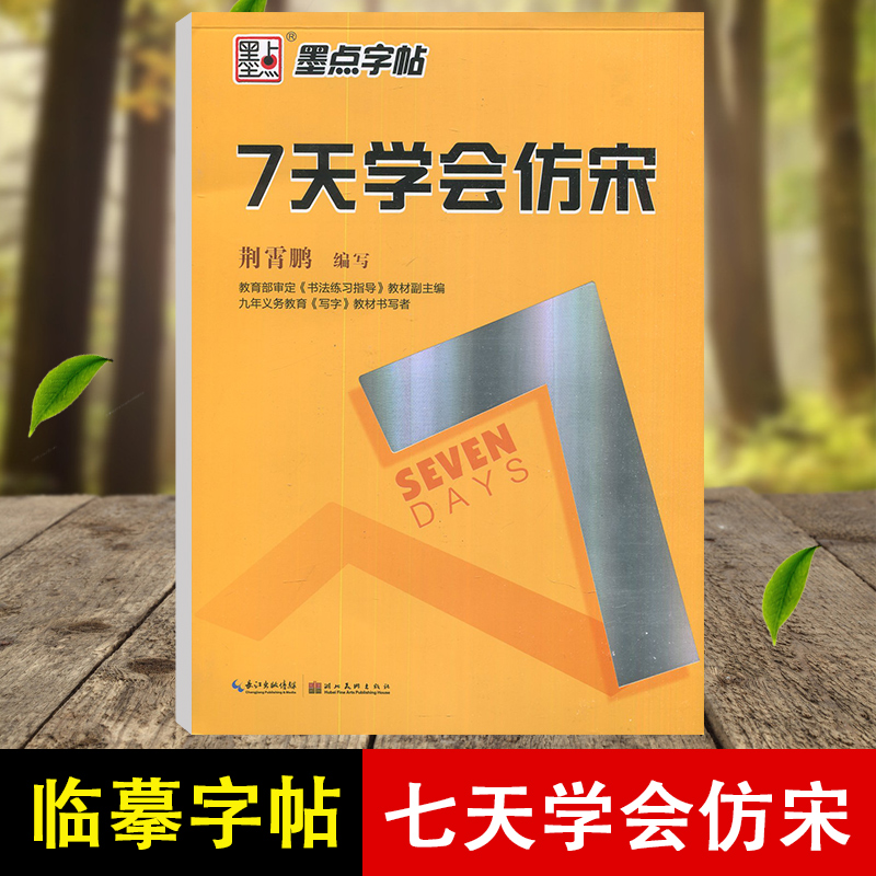墨点字帖荆霄鹏楷书间架结构基本笔画钢笔字入门书写技巧宋体考试字体字帖成人公务员初学者7天学会仿宋硬笔书法教程临摹练字帖