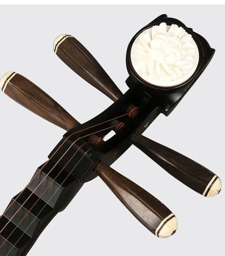 Музыкальные инструменты, профессиональная практика для начинающих для взрослых, материал