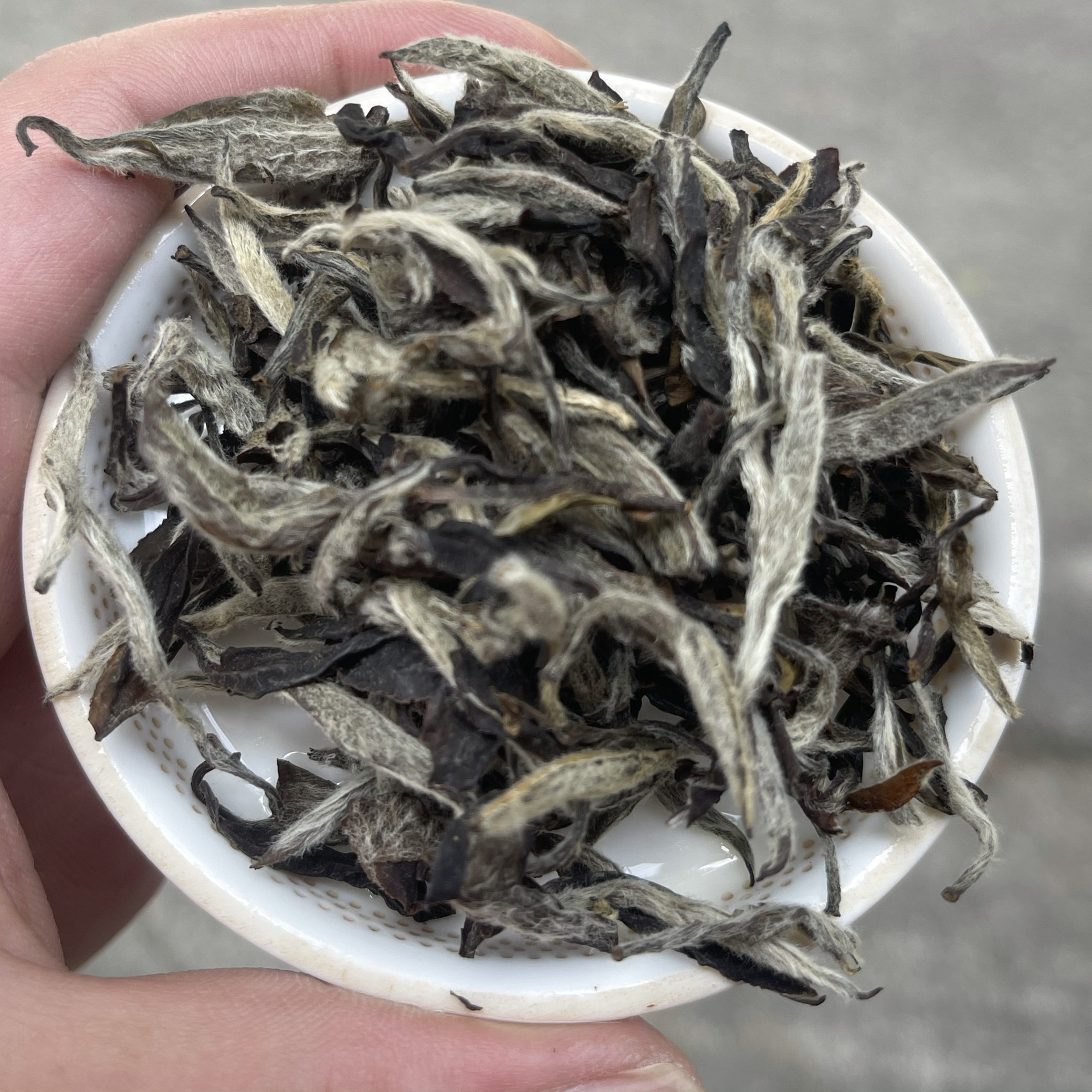 2016年福鼎白茶高山大毫白牡白牡丹