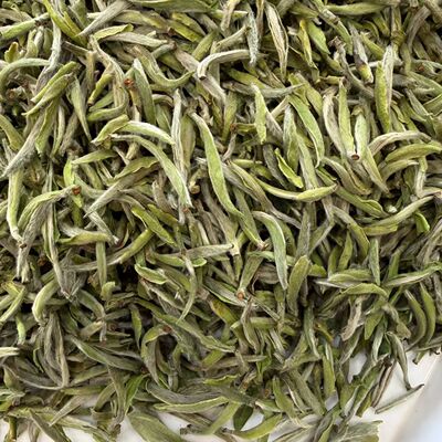 2026年福鼎白茶磻溪黄冈村高山头春白毫银针荒野银针散茶500克