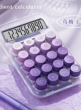 德国进口计时器可爱透明机械按键
