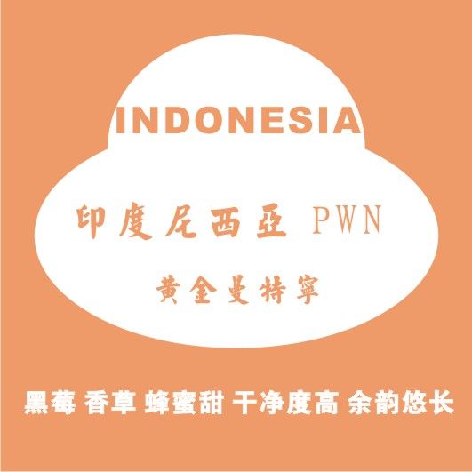 印尼黄金曼特宁500g咖啡生豆