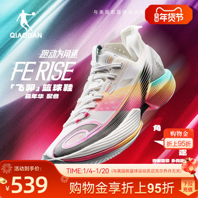 乔丹FERISE飞羿篮球鞋