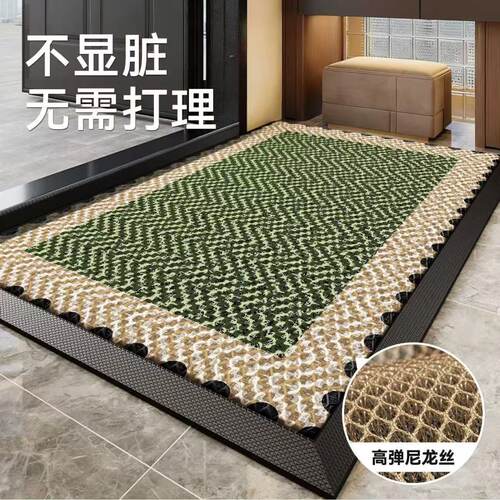 入户门地垫新款高级感玄关进门口免洗防滑脚垫