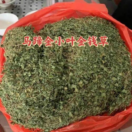马蹄金野生 马蹄金荷包草黄胆草小金钱草螺丕草小马蹄草包邮