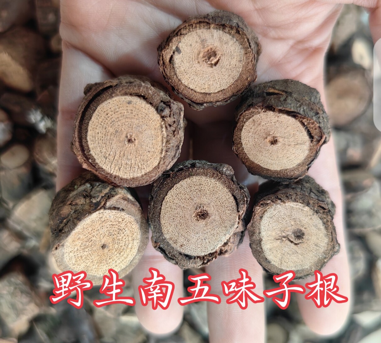 中药材野生五味子红木紫金纯天然图片