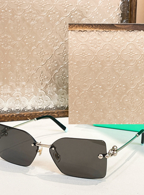 长方形小框遮阳墨镜男女款时尚