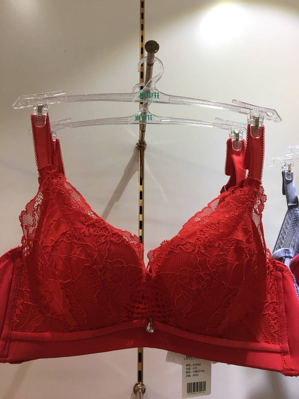 水中花818066女士性感a杯无钢圈中厚调整防下垂文胸内衣包邮