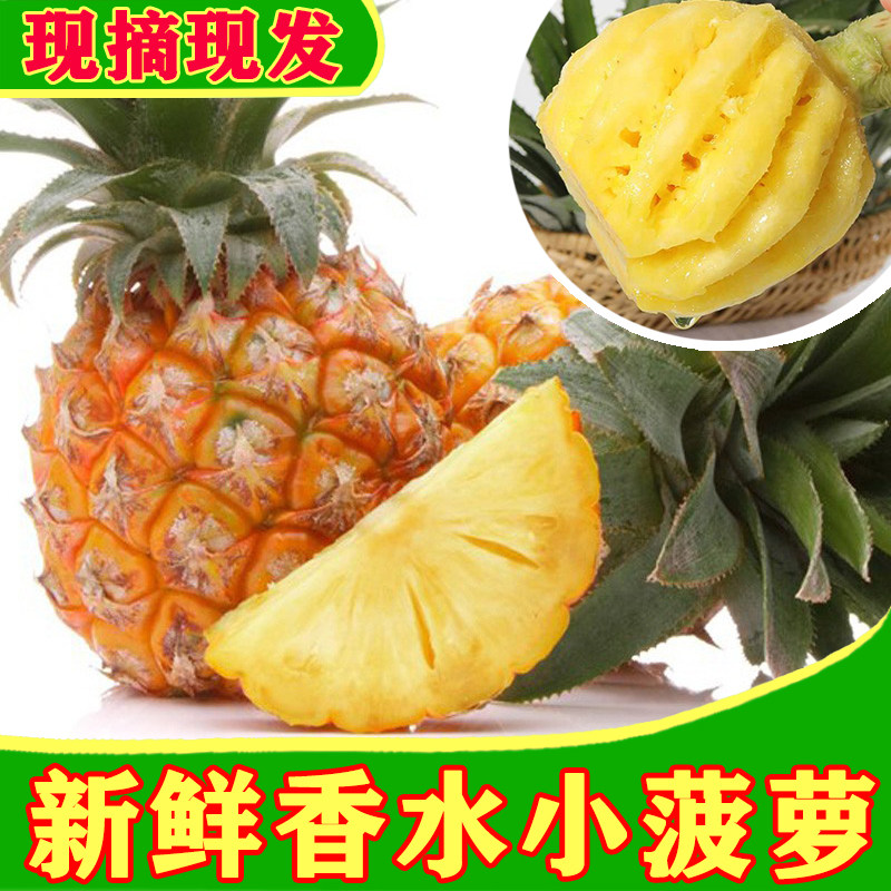 新鲜小菠萝香水菠萝四季水果广西菠萝除味2斤5斤/8斤/9斤非大凤梨