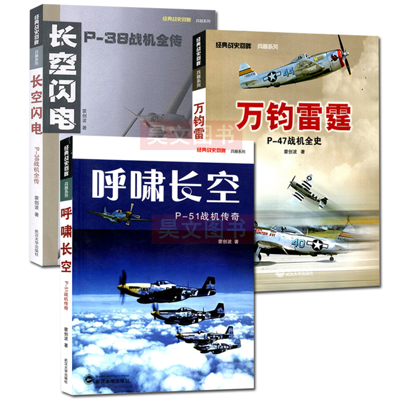 正版全3本万钧雷霆P-47战机全史+呼啸长空 P-51战机传奇+长空闪电 P-38战机全传蒙创波蒙创波经典战史回眸兵器系列武汉大学出版社