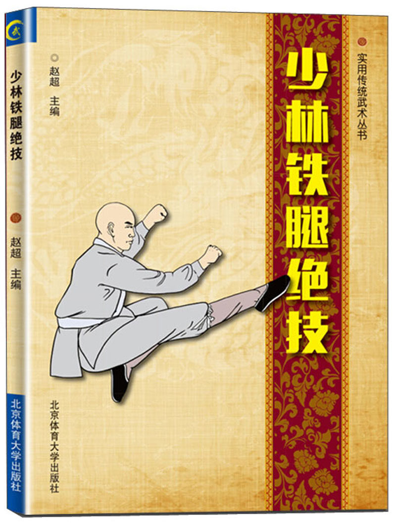 中国功夫少林武学专项训练 武术太极拳武功秘籍套路 运动训练锻炼健身
