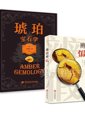 正版 琥珀辨假琥珀宝石学王雅玫著地质大学出版精装自用送礼收藏珠宝鉴定宝石学专业教材琥珀书籍入门知识专业鉴别琥珀真伪