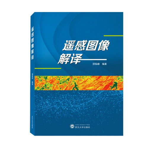 【现货速发】正版新书 遥感图像解译 邵振峰编  9787307229471 工业技术其它专业科技 武汉大学出版社