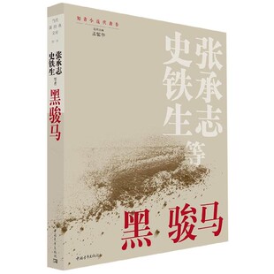 正版新书】黑骏马中国青年出版社 张承志 史铁生 邹静之风中沙粒 王松哭麦等  中国青年出版社