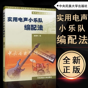 正版现货 实用电声小乐队编配法 龚耀年9787810569415 中央民族大学出版社