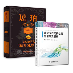 正版新书 珠宝玉石无损检测光谱库及解析琥珀宝石学 王雅玫著中国地质大学出版精装自用送礼收藏珠宝鉴定宝石学专业教材琥珀书籍