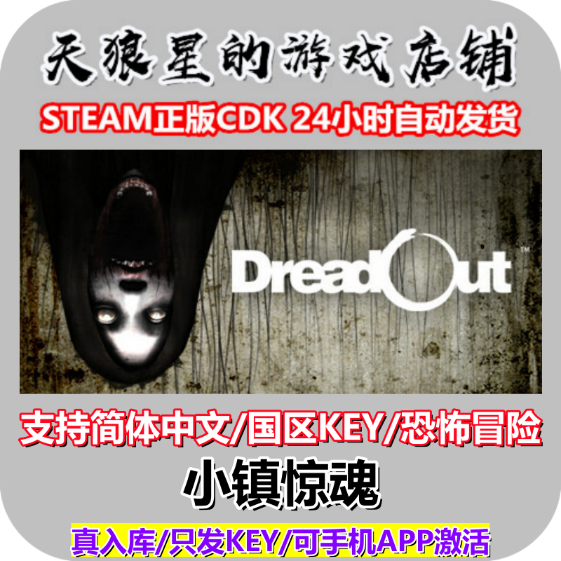 STEAM/小镇惊魂1/国区key/中文