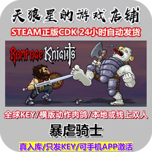 STEAM/暴虐骑士/Rampage Knights/全球key/本地或线上双人合作