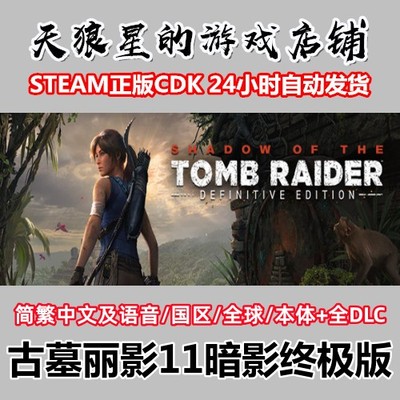 STEAM/古墓丽影11终极版/中文