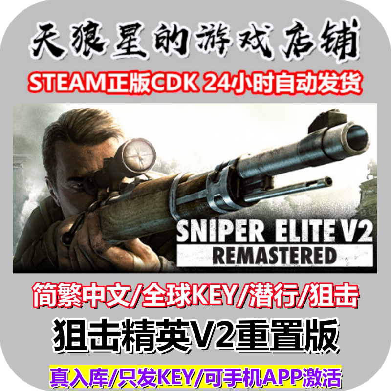STEAM/狙击精英V2重置版/全球key图片