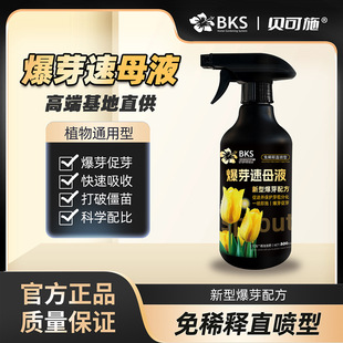 贝可施爆芽速母液催芽促芽生长叶面肥爆芽速家庭专用营养液免稀释