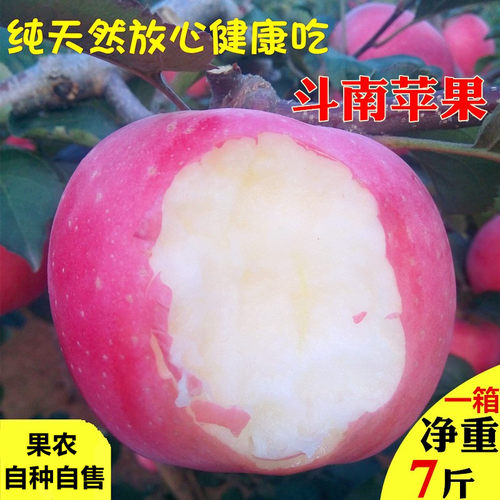辽宁大连酸甜新鲜应季斗南苹果