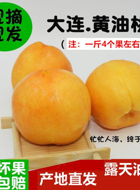 黄油桃5斤大连瓦房店甜