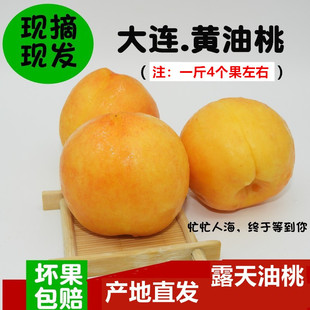 黄油桃大连瓦房店新鲜 水果黄肉桃子整箱5斤应季 当季现摘现发8月