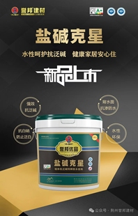 誉邦辅料盐碱克星水性呵护抗泛碱抗白硝防泛白抗渗防水环保