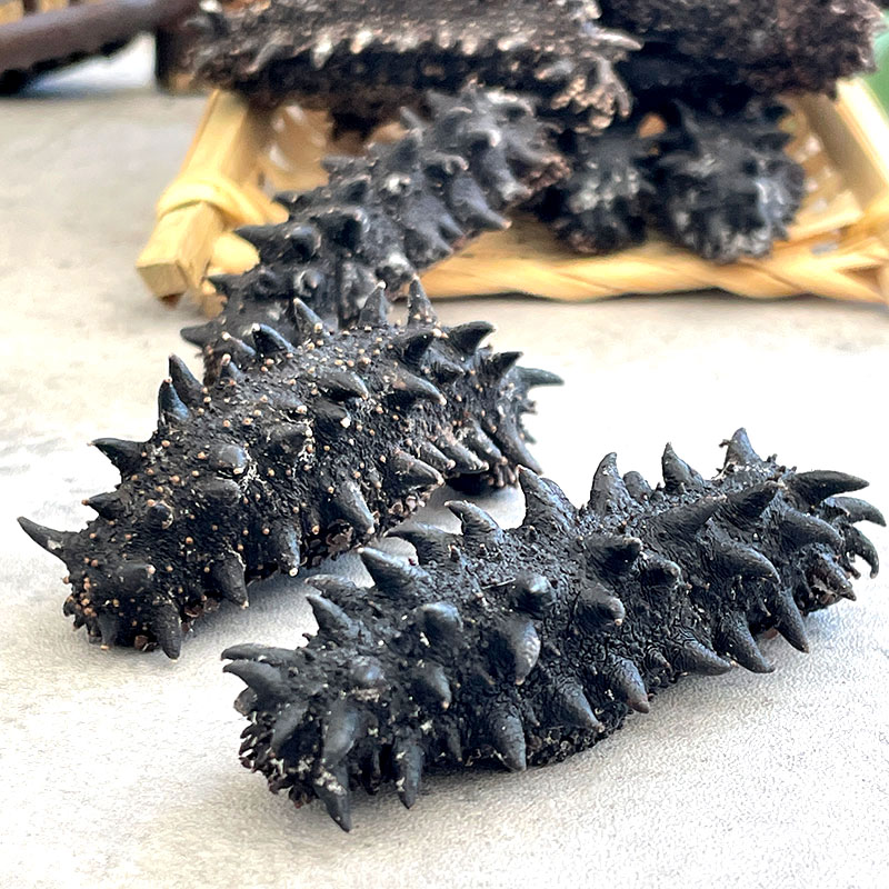 （足干）100g（16-24只）俄罗斯进口海参淡干刺参六排刺红参野生