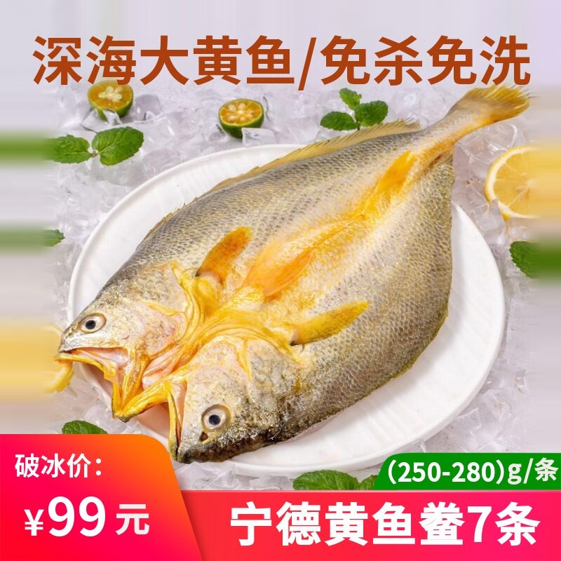 宁德霞浦特产黄鱼鲞咸香大黄鱼免杀半干黄花鱼新鲜冷冻黄瓜鱼腌制