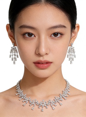 魔猫昭昭锆石圆形闪亮长款耳环显瘦气质耳饰小众轻奢纯银耳针耳钉