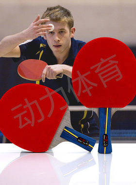 5星级五星乒乓球拍 直板横拍 乒乓球拍包邮送球
