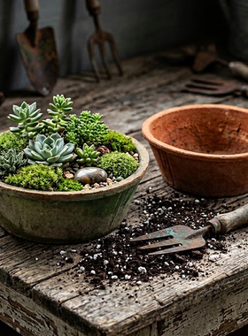 央盆粗陶花盆陶盆多肉老式大口径盆景盆陶土瓦盆大复古浅口陶瓷红