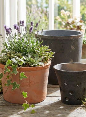 LOGO复古陶瓷红陶花盆多肉陶土盆具加仑兰花绿萝小陶盆蝴蝶兰瓦盆