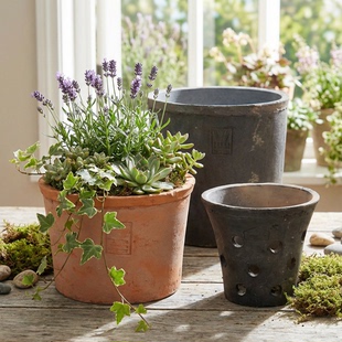 LOGO复古陶瓷红陶花盆多肉陶土盆具加仑兰花绿萝小陶盆蝴蝶兰瓦盆