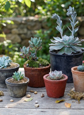 黑陶多肉小花盆迷你幼苗盆粗陶盆栽仙人球专用陶土陶盆陶瓷瓦盆