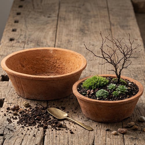 浅口种菜盆多肉育苗盆