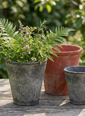 老式陶盆瓦盆粗陶多肉专用花盆透气蝴蝶兰大陶土兰花黑色盆景陶瓷