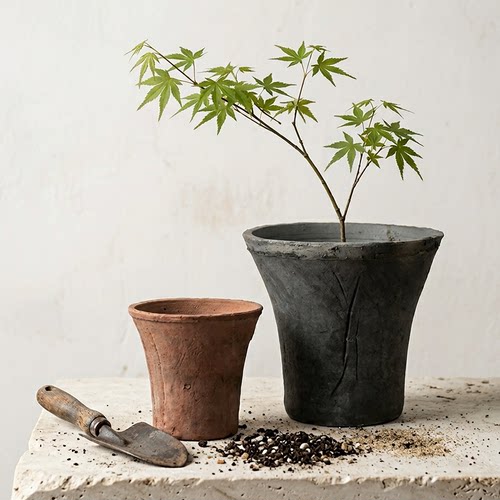 龟背竹泥瓦盆做旧陶土盆