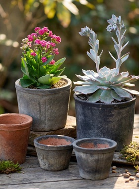 迷你小花盆育苗盆粗陶多肉蕨类复古透气红陶仙人掌陶土专用黑陶