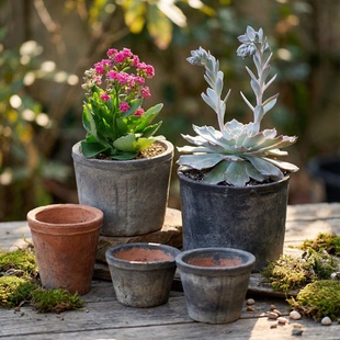 迷你小花盆育苗盆粗陶多肉蕨类复古透气红陶仙人掌陶土专用黑陶