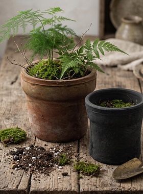 宽口盆多肉红陶花盆ins兰花创意粗陶瓦盆兰花盆景大水仙蕙兰陶土