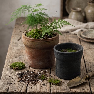 宽口盆多肉红陶花盆ins兰花创意粗陶瓦盆兰花盆景大水仙蕙兰陶土