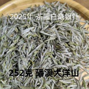 福鼎白茶 磻溪 大洋山 茶园白毫银针 252克  鼎贝白茶